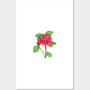 Rose Posters and Art